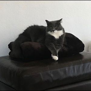 Meet your Posher, Adriana